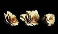 Alain_fleurs